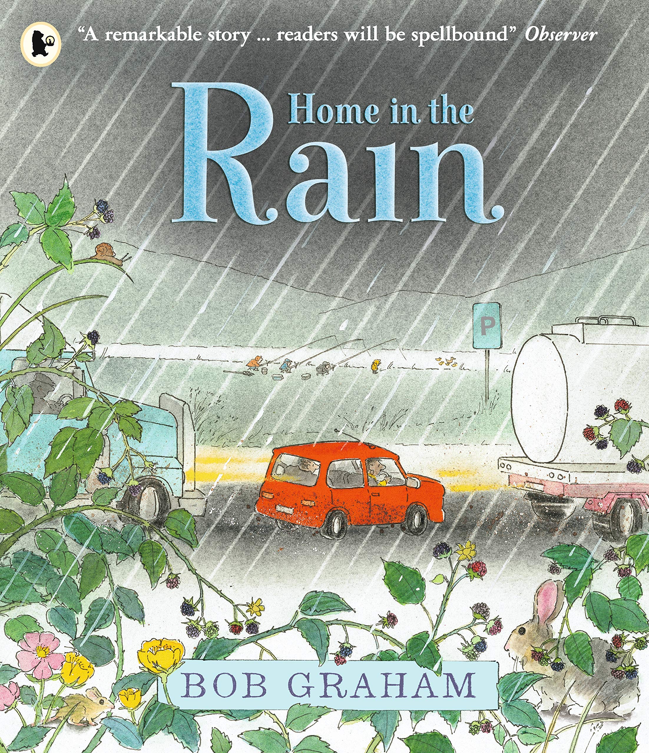 Home the Rain